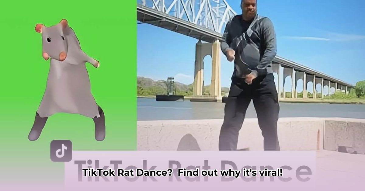 rat-dance-tiktok
